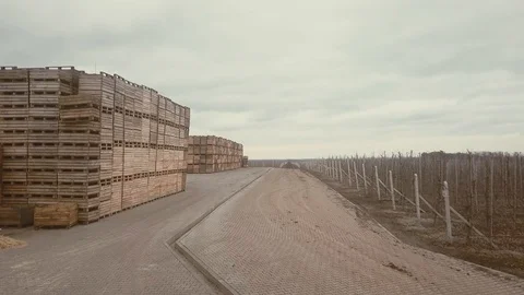Aerial view of a large number of pallets. The pallets are stacked one by one Stockbeeldmateriaal 128508183