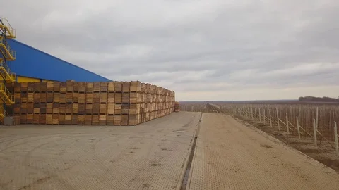 Aerial view of a large number of pallets. The pallets are stacked one by one Stockbeeldmateriaal 128508439