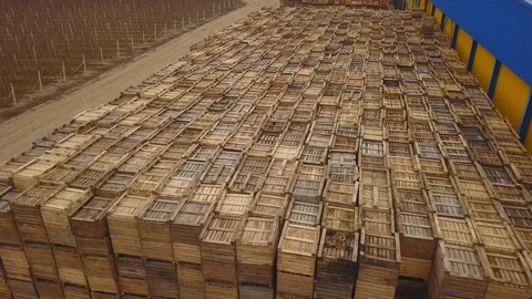 Aerial view of a large number of pallets. The pallets are stacked one by one Stock-Footage 128509156