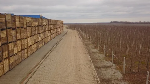 Aerial view of a large number of pallets. The pallets are stacked one by one Stockbeeldmateriaal 128509776