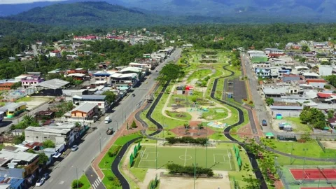 Aerial view of a large park within a city with roads ath both sides Stock Footage 146352401