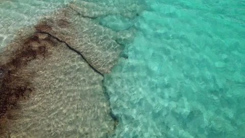 Aerial view large parrot fish leaving and entering reef avoid fishing Stock Footage 265834377
