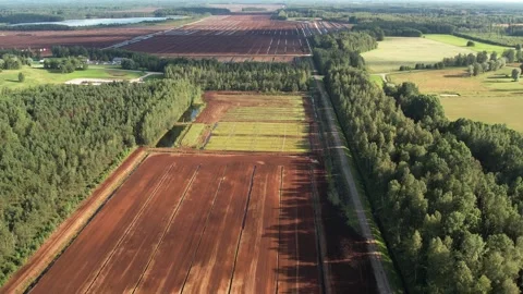 Aerial view of a large peat bog harvesting site with long parallel rows Stock Footage 315601716