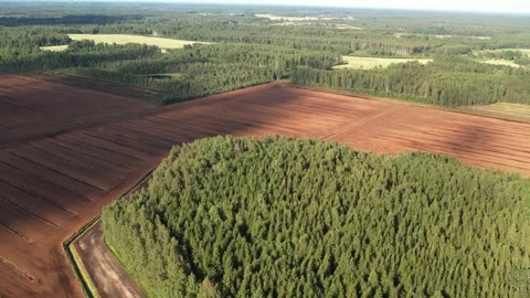 Aerial view of a large peat bog harvesting site with long parallel rows of Stock Footage 315733308