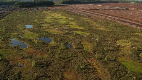 Aerial view of a large peat bog harvesting site with long parallel rows of Stock-Footage 315733512