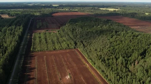 Aerial view of a large peat bog harvesting site with long parallel rows of Stock Footage 315733647