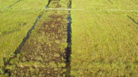 Aerial view of a large peat bog harvesting site with long parallel rows of Stock Footage 315733675
