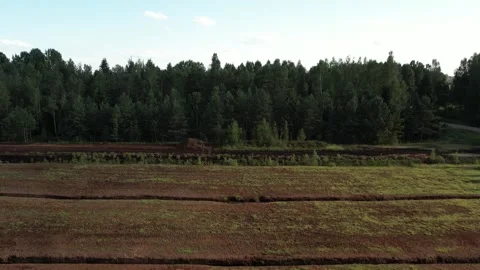 Aerial view of a large peat bog harvesting site with long parallel rows of Stock Footage 315733887