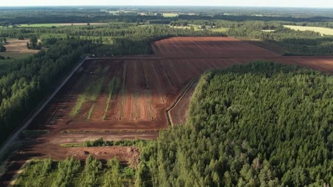 Aerial view of a large peat bog harvesting site with long parallel rows of Stock Footage 315733935