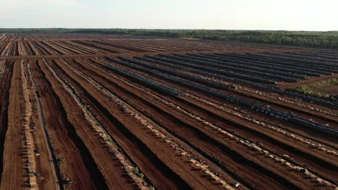 Aerial view of a large peat bog harvesting site with long parallel rows of Stock Footage 315742019