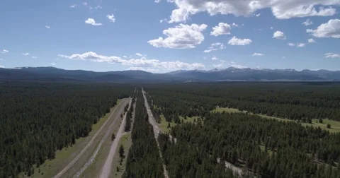 Aerial view of large pine forest and mountains 4k 24fps Stock Footage 77249762