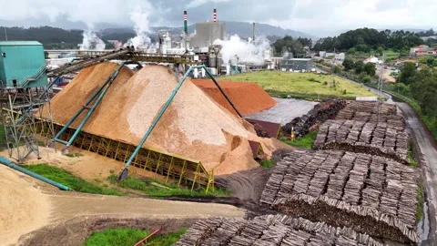 Aerial view of a large pulp and paper mill industry Stock Footage 335266213