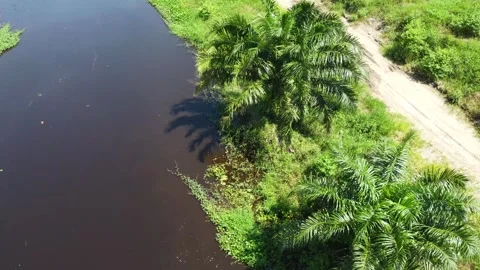 Aerial view of a large river on the edge of a highway, the water looks dark.. Stock Footage 321846262