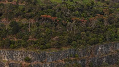 Aerial view of a large rock quarry and lush forest Stock Footage 339377608