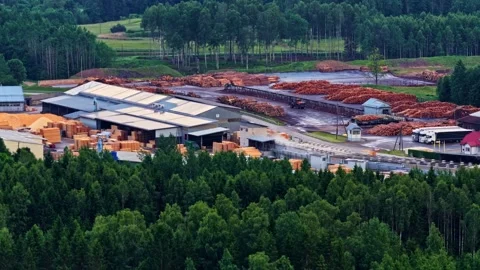 Aerial view of a large sawmill and lumber yard surrounded by a lush green forest Stock Footage 343853941