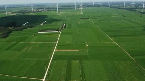 Aerial view of large scale green farmland with wind turbines in the field. Stock-Footage 336321441