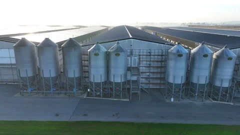 Aerial view of large-scale poultry farm with numerous long sheds and feed s.. Stockbeeldmateriaal 337818425
