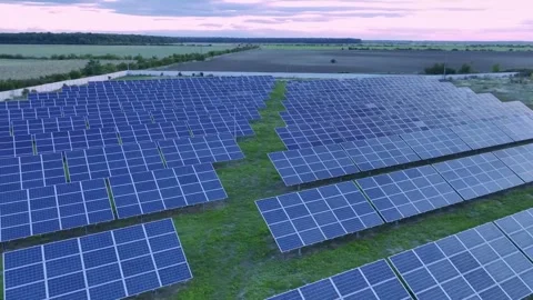 Aerial View of Large Solar Farm at Sunset with Renewable Energy Panels Stock Footage 340222999