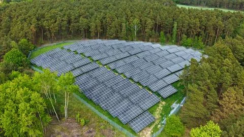 Aerial View of Large Solar Panel Farm in Forest Landscape Fotos Stock