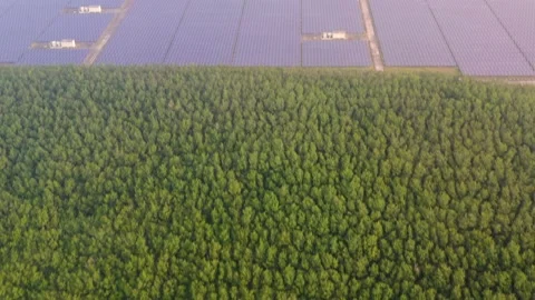 Aerial view of large solar panels at solar farm at sunrise in sunny spring. S Stock Footage 169088519