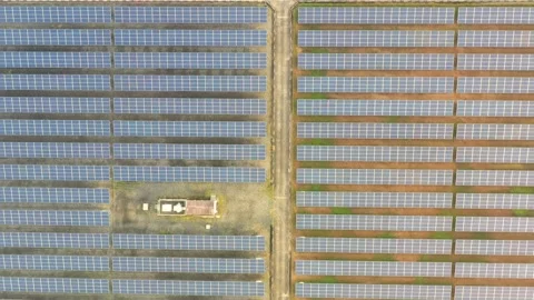 Aerial view of large solar panels at solar farm at sunrise in sunny spring. S Video stock 169088729