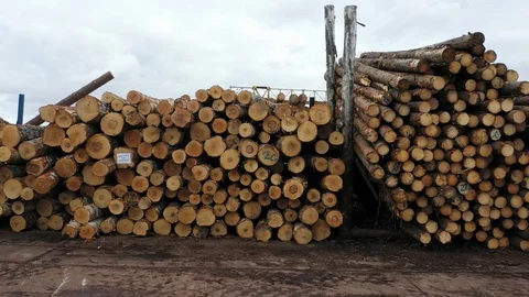 Aerial view of Large stack of firewood piled flawlessly in huge woodpile Vídeos de archivo 127113553