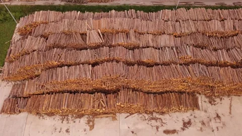 Aerial view of large stacks of timber logs at an industrial log yard Stock Footage 344744466