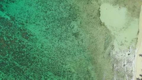Aerial view of Las Cabaas Beach Stock Footage 262555266