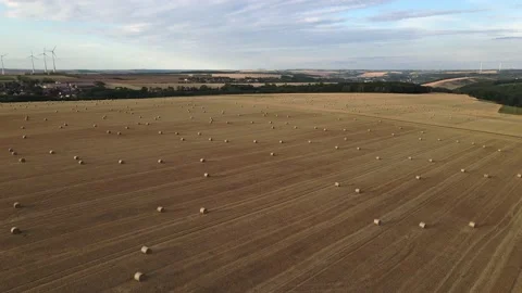 Aerial view of a late summer fields of hay rolls. Stock Footage 224555273