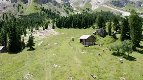 Aerial view of the latemar mountain complex in the Trentino Dolomites 스톡 동영상 211832384