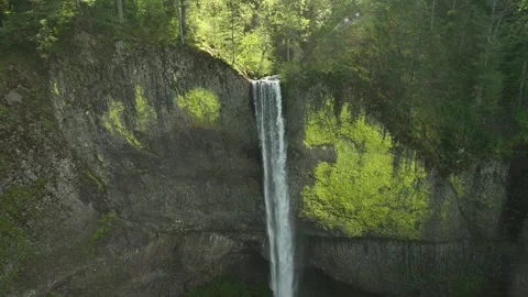 Aerial view of Latourell Falls in Oregon Stock Footage 339518358