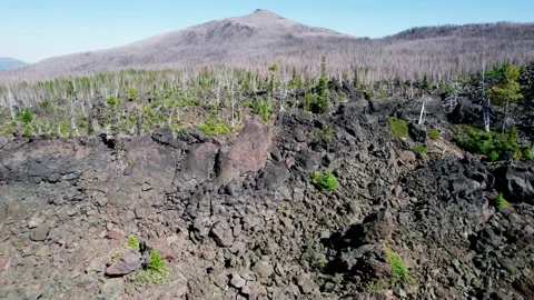 Aerial view of lava fields. Oregon, United States Stock-Footage 161918595