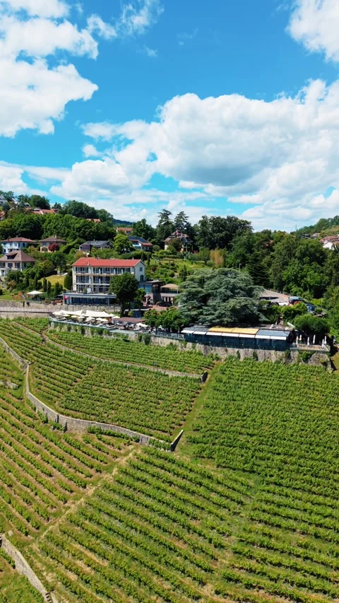Aerial view of Le Deck Bar Terrasse in Chexbres, Switzerland. Stock Footage 339630744