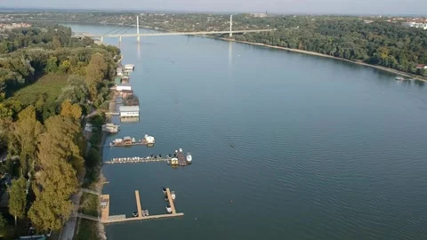 Aerial view of the liberty bridge Video stock 145019883