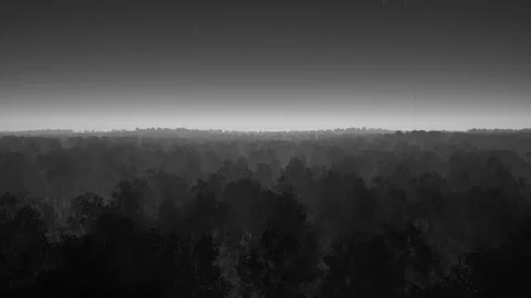 Aerial View of Lightning Dark Forest Vídeos de archivo 339369233