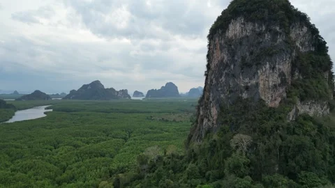 Aerial View of Limestone Karst Mountains and Mangrove Forest in Phang Nga, Stock Footage 335252241