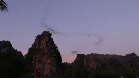 Aerial view of limestone mountain at Noen Maprang of Phitsanulok, Thailand 스톡 동영상 84256559