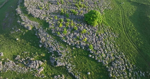 Aerial view of limestone pavement Stock Footage 277115998