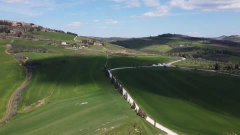 Aerial View Lined Country Road in Tuscany 스톡 동영상 242582805