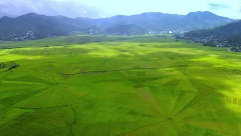 Aerial view of Lingko Spider Web Rice Fields and mountains, Indonesia. Stock Footage 334798223