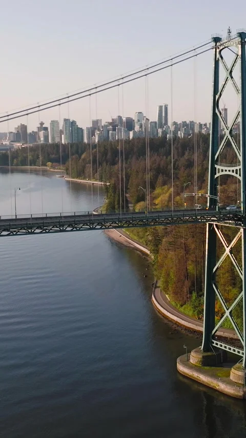 Aerial view of Lions Gate Bridge and Stanley Park at dawn. Canada Stock Footage 295366106