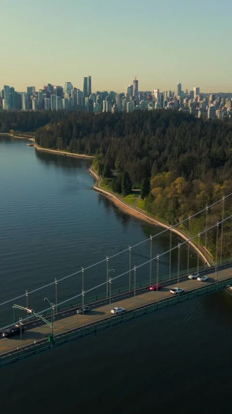 Aerial view of Lions Gate Bridge and Stanley Park at dawn. Canada Video stock 342835763