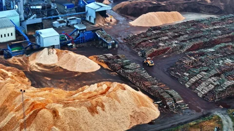 Aerial View Of Loader Working At The Wood Processing Plant. Stock Footage 300218152