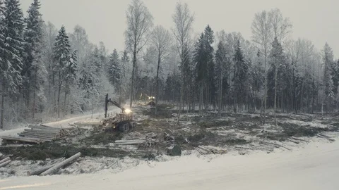 The aerial view of the log grappler on the forest 스톡 동영상 118471506
