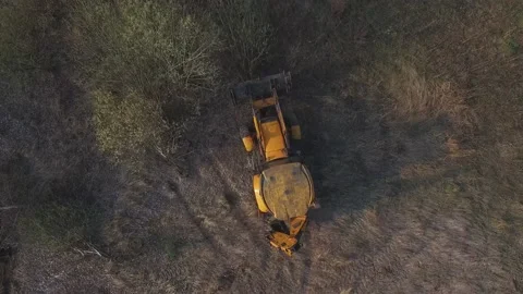 Aerial view of logging with a bulldozer. Large Excavator breaking down trees wit Stock Footage 224374148