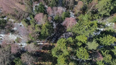 Aerial view logging machinery working in forest. Process deforestation Stock Footage 78981329
