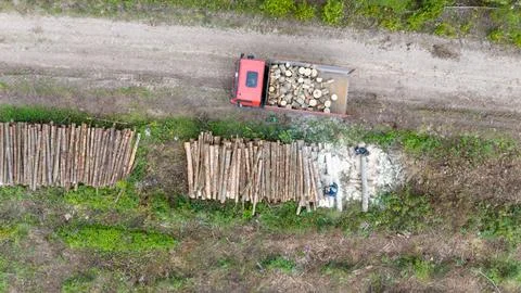 Aerial View of Logging Operation with Red Truck and Timber Stock Photos