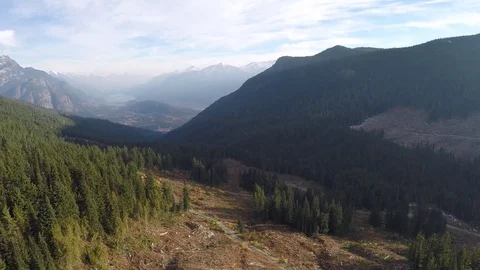 Aerial view Logging slash and forest looking down a mountain valley in the fall Stock Footage