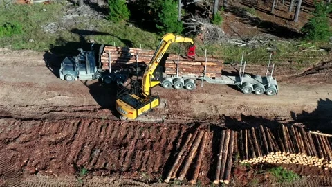 Aerial view of logs being loaded onto truck Stock Footage 172559146