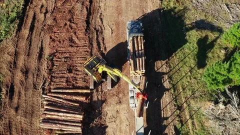 Aerial view of logs being loaded onto truck bed Stock Footage 172559180